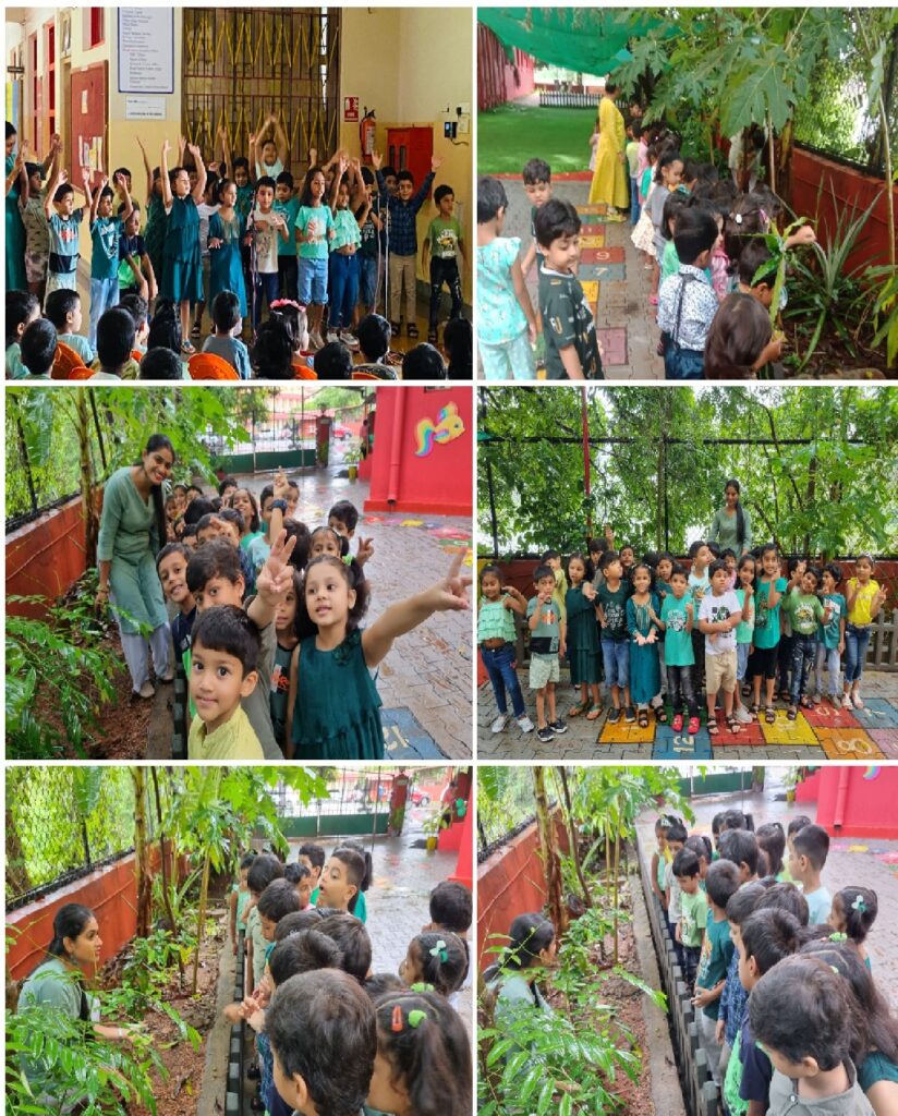 Pre-Primary Van Mahotsav Day Assembly